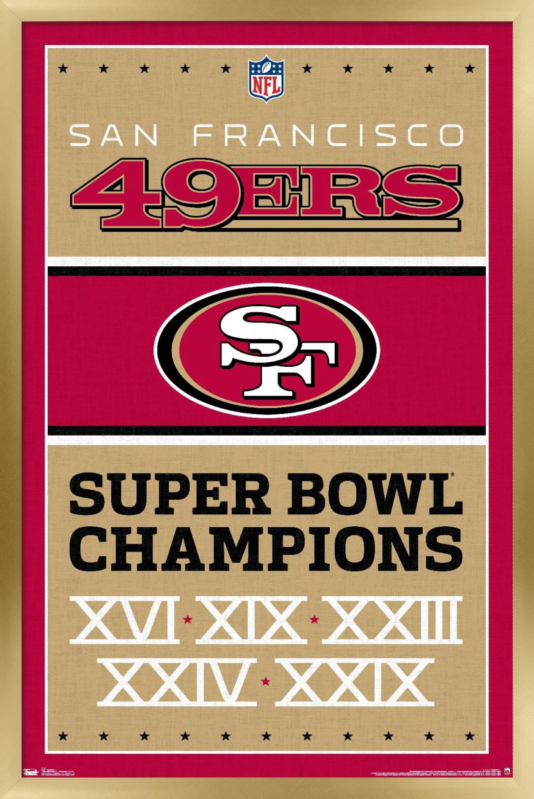 NFL San Francisco 49ers - Champions 13 Wall Poster, 22.375" x 34 ...