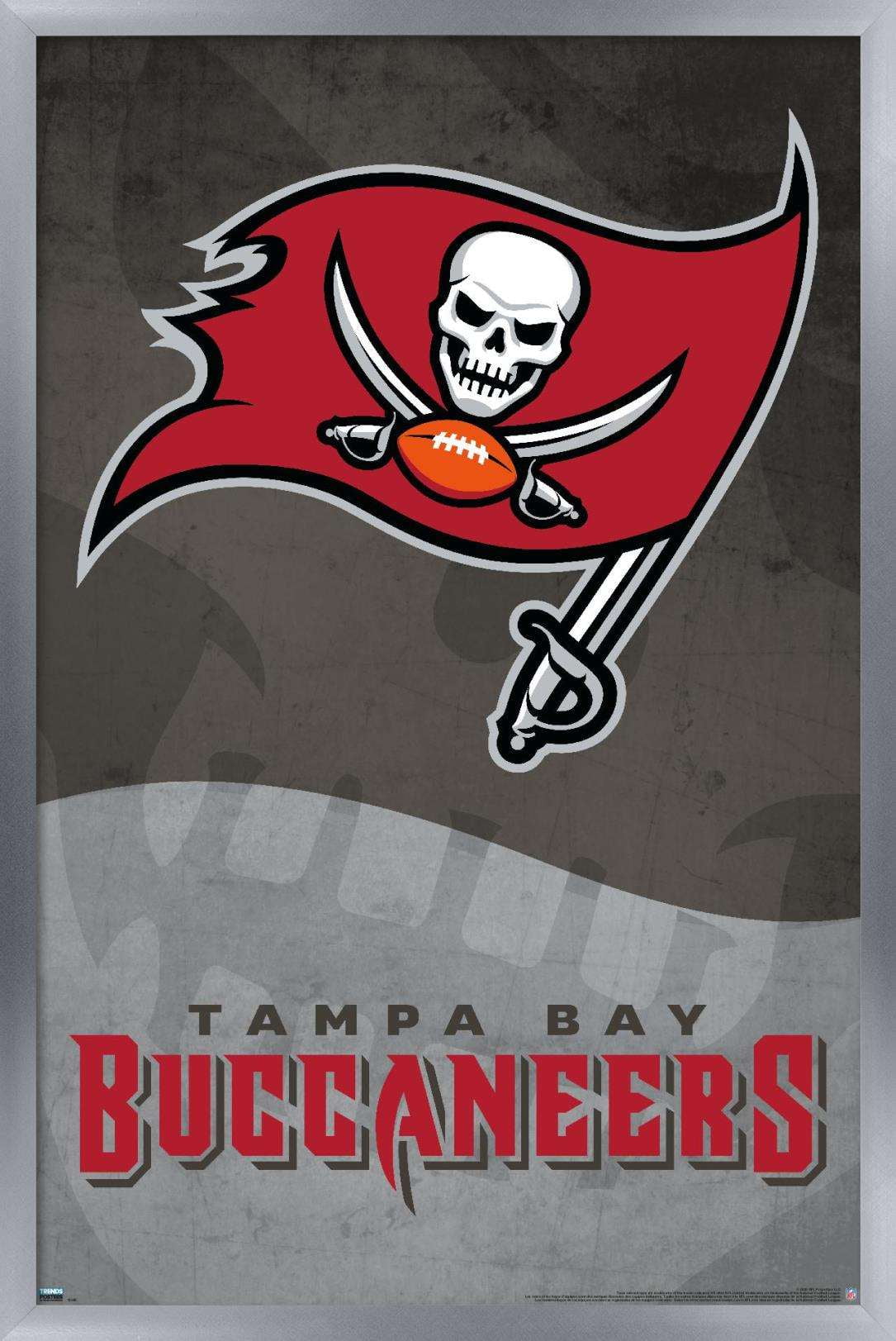 NFL Tampa Bay Buccaneers - Logo 20 Wall Poster, 22.375" x 34", Framed