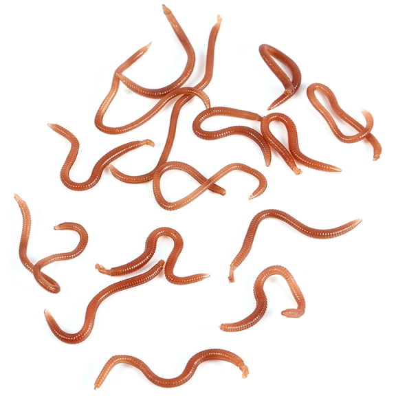 NFTIGB 10cm / 3.9 inches Worm Shaped Fishy Smell Soft Fishing Lure Baits With Box For Fishermen