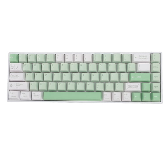 NFTIGB 68 Key Wireless Mechanical Keyboard Blue Switch Dual Layer Padding RGB Backlit 60% Gaming Keyboard for Windows Mac iOS Android White Base Green and White Theme 13.38x5.90x1.96 inches