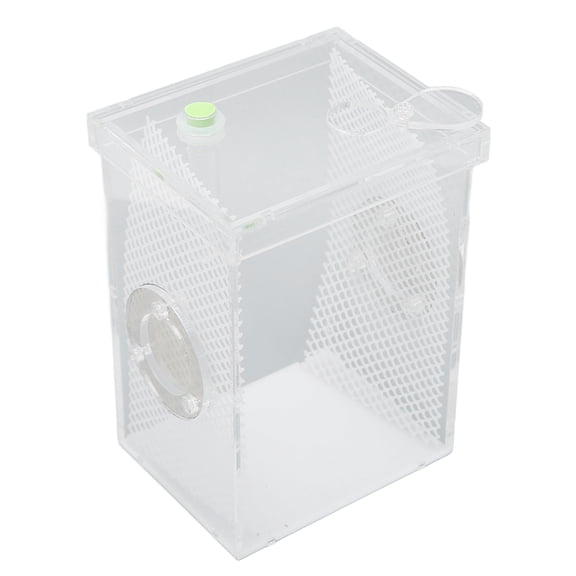NFTIGB Acrylic Reptile Insect Enclosure Tank High Transparency Moisturizing Breeding Box L for Jumping Spider Tarantula Mantis (7.8 x 5.5 x 4.3 inches / 20 x 14 x 11 cm) Clear Terrarium
