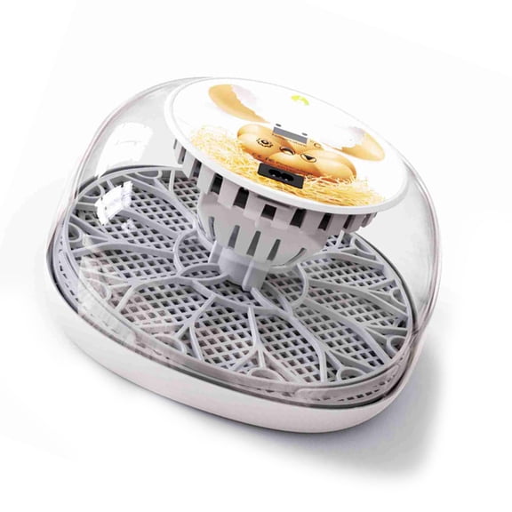 NFTIGB M12 Automatic Egg Incubator for Hatching 12 Eggs, LED Candler, Temperature Control, UK Plug