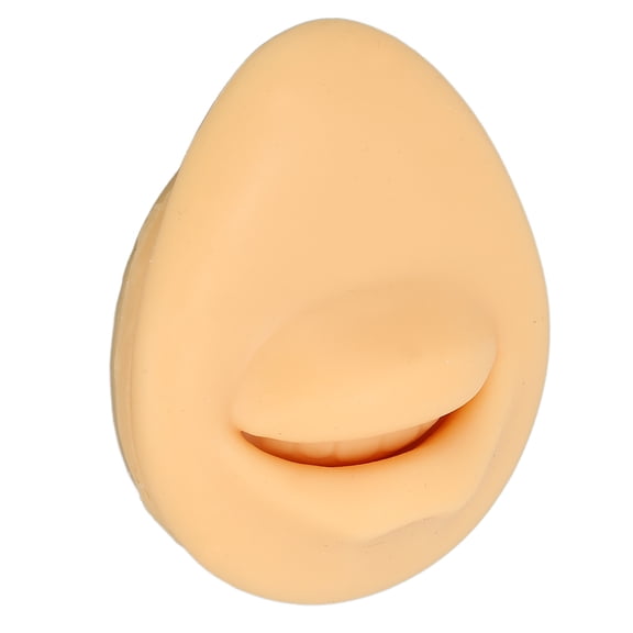 NFTIGB Soft Silicone Mouth Model Flexible Simulation Human Mouth 3.1 x 2.4 inches / 7.8 x 6 cm Body Part Display Teaching Tool for Education Anatomy and Practice Use