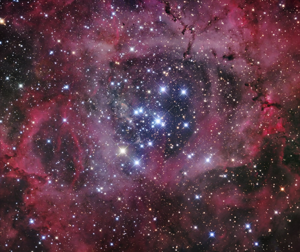 NGC 2244 the open cluster within the Rosette Nebula Canvas Art - Robert GendlerStocktrek Images (15 x 13)