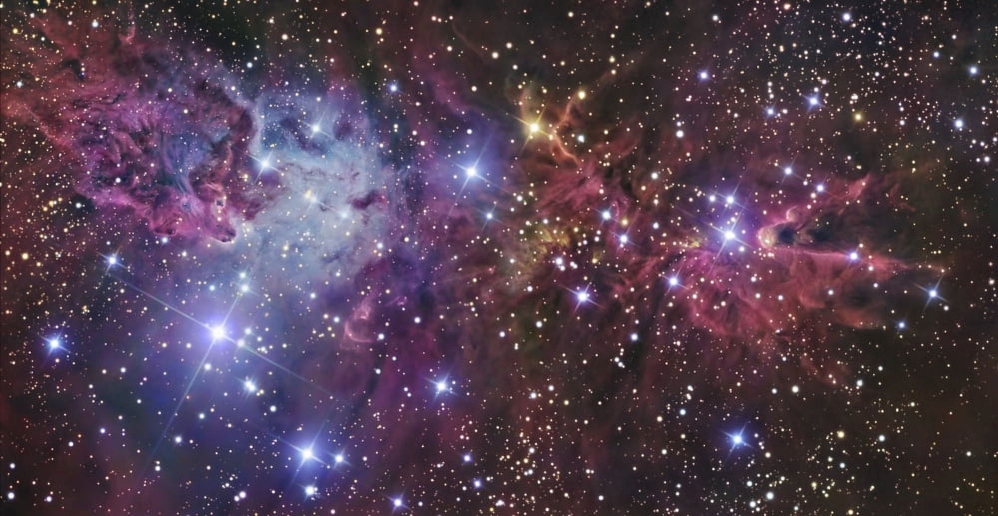 NGC 2264 Canvas Art - R Jay GaBanyStocktrek Images (39 x 21)