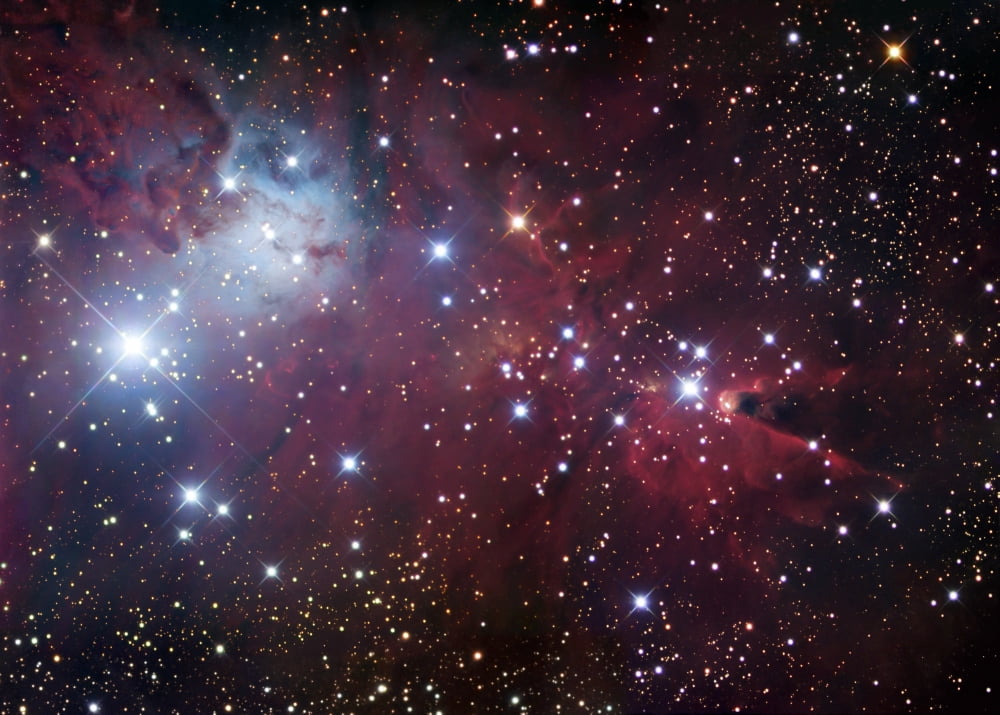 NGC 2264 The Cone Nebula Region Canvas Art - Robert GendlerStocktrek Images (33 x 24)