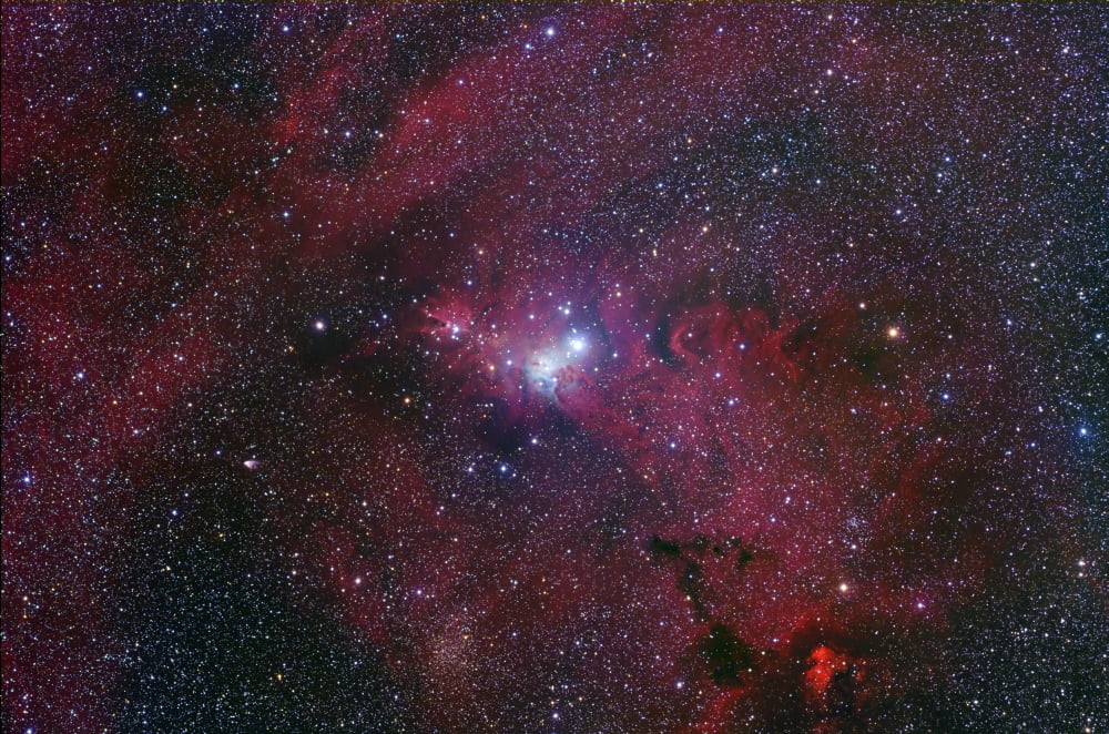 NGC 2264 The Cone Nebula Region Canvas Art - Robert GendlerStocktrek Images (34 x 23)
