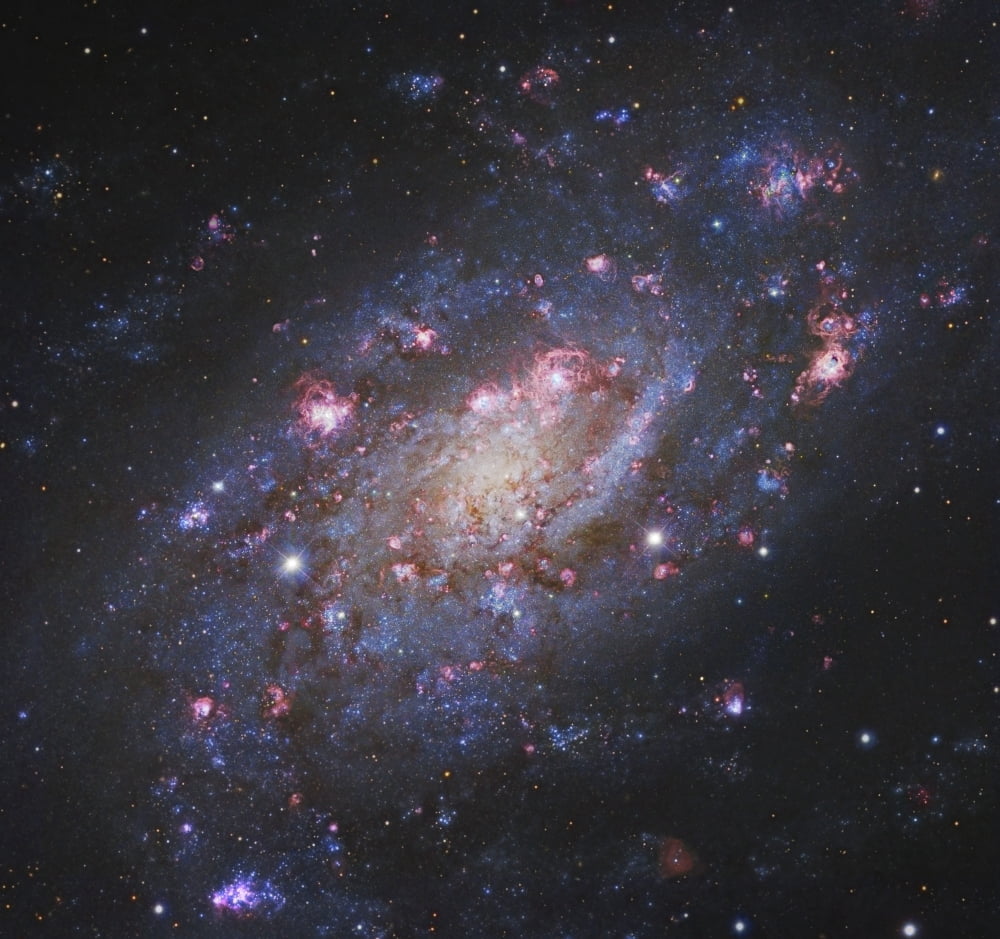NGC 2403 a spiral galaxy in Camelopardalis Canvas Art - Robert GendlerStocktrek Images (29 x 28)