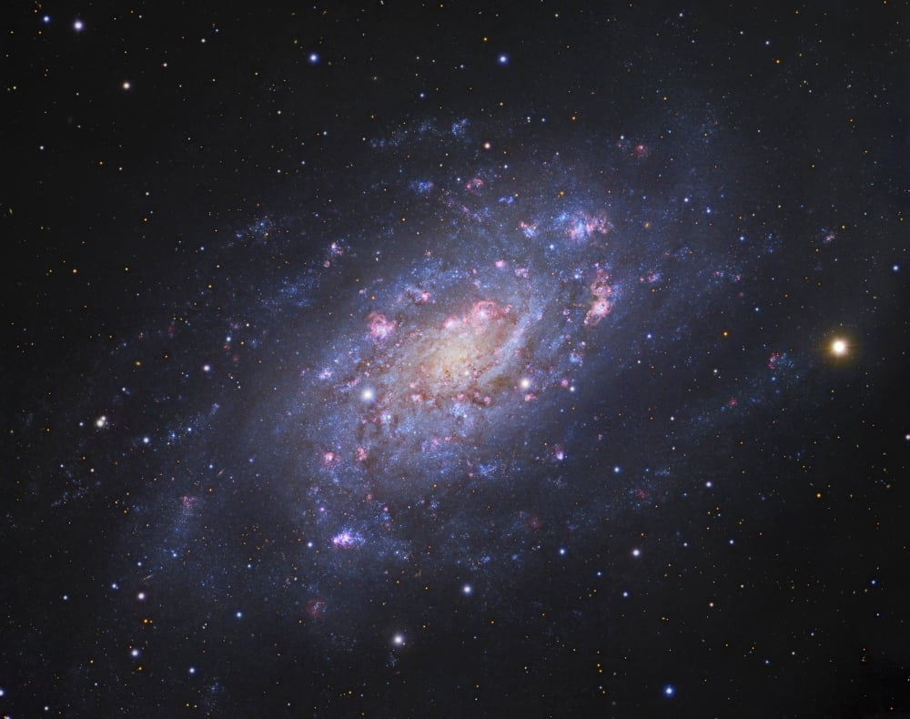 NGC 2403 a spiral galaxy in Camelopardalis Canvas Art - Robert GendlerStocktrek Images (32 x 26)