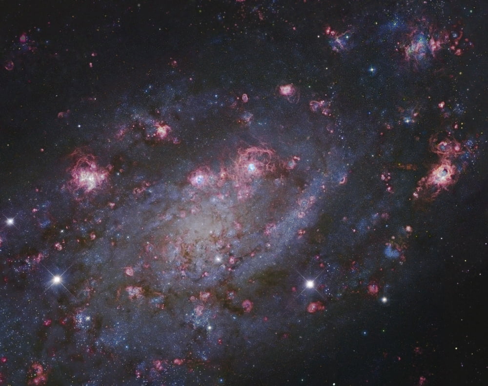 NGC 2403 a spiral galaxy in Camelopardalis Canvas Art - Robert GendlerStocktrek Images (32 x 26)
