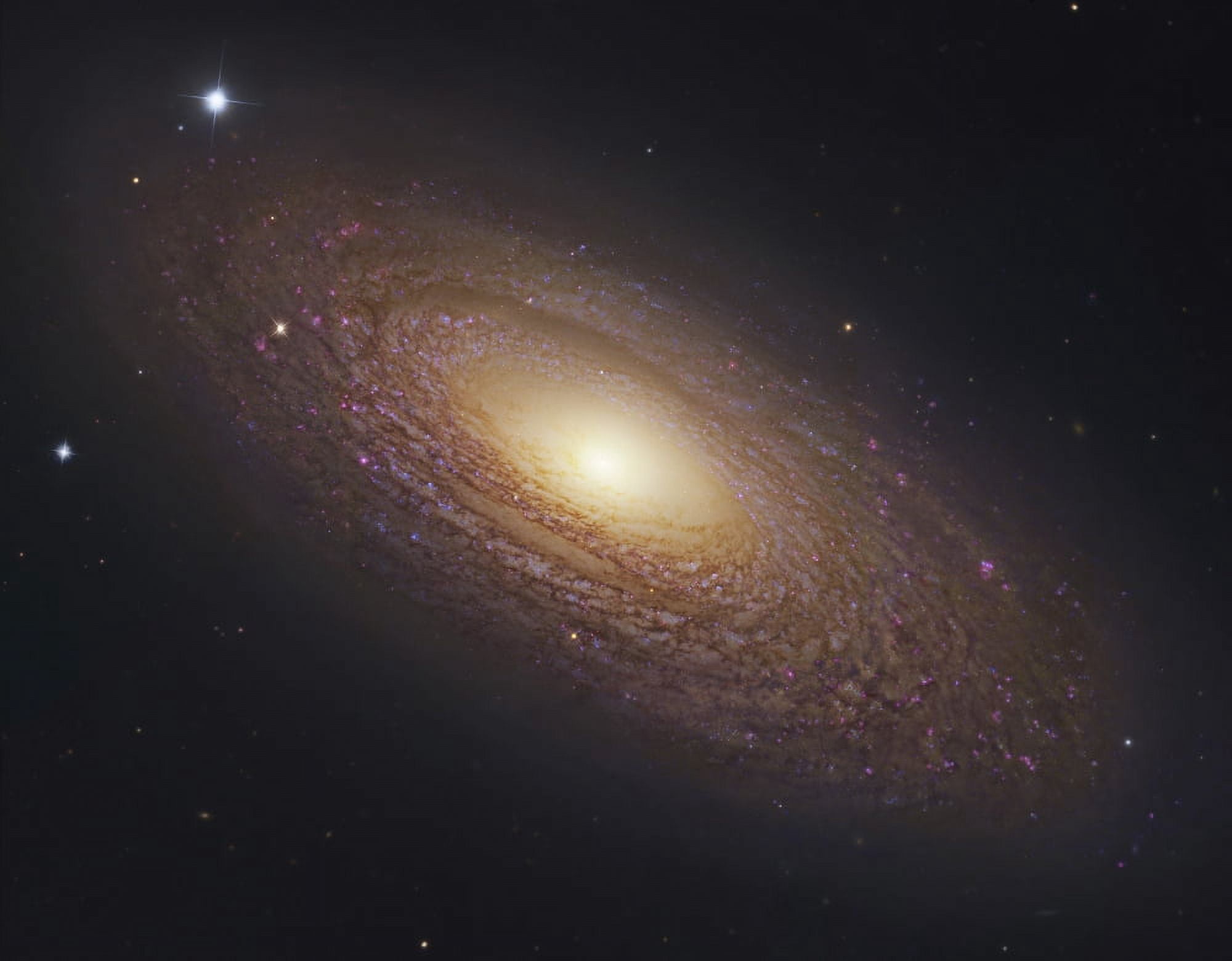 NGC 2841 spiral galaxy in Ursa Major Canvas Art - Robert GendlerStocktrek Images (16 x 13)