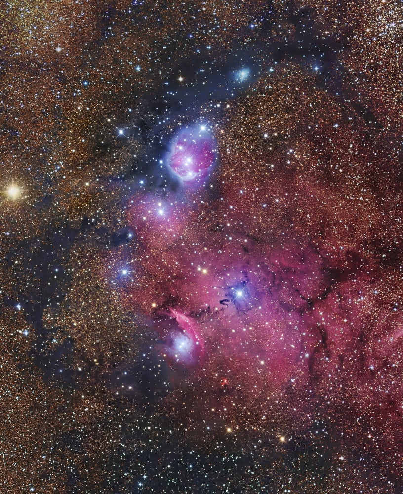 NGC 6559 emission and reflection nebulosity in Sagittarius Canvas Art - Robert GendlerStocktrek Images (13 x 16)