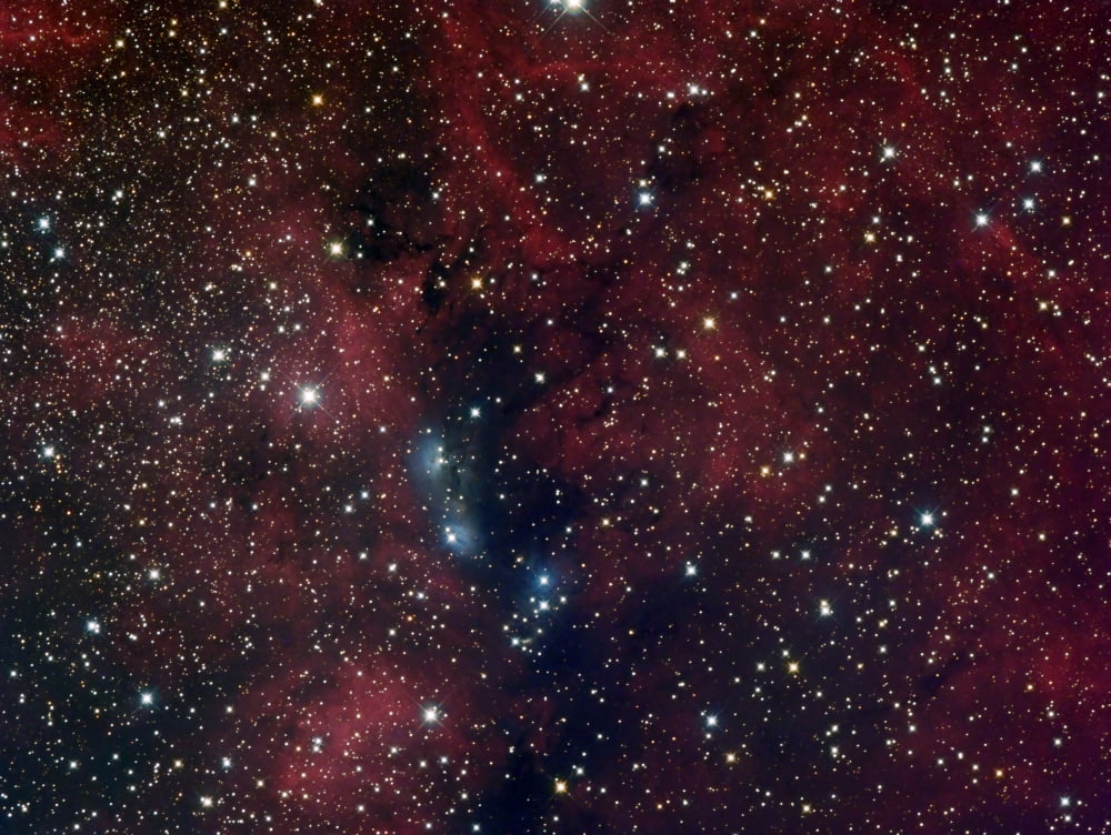 NGC 6914 reflection nebula in Cygnus Canvas Art - Filipe AlvesStocktrek Images (17 x 13)