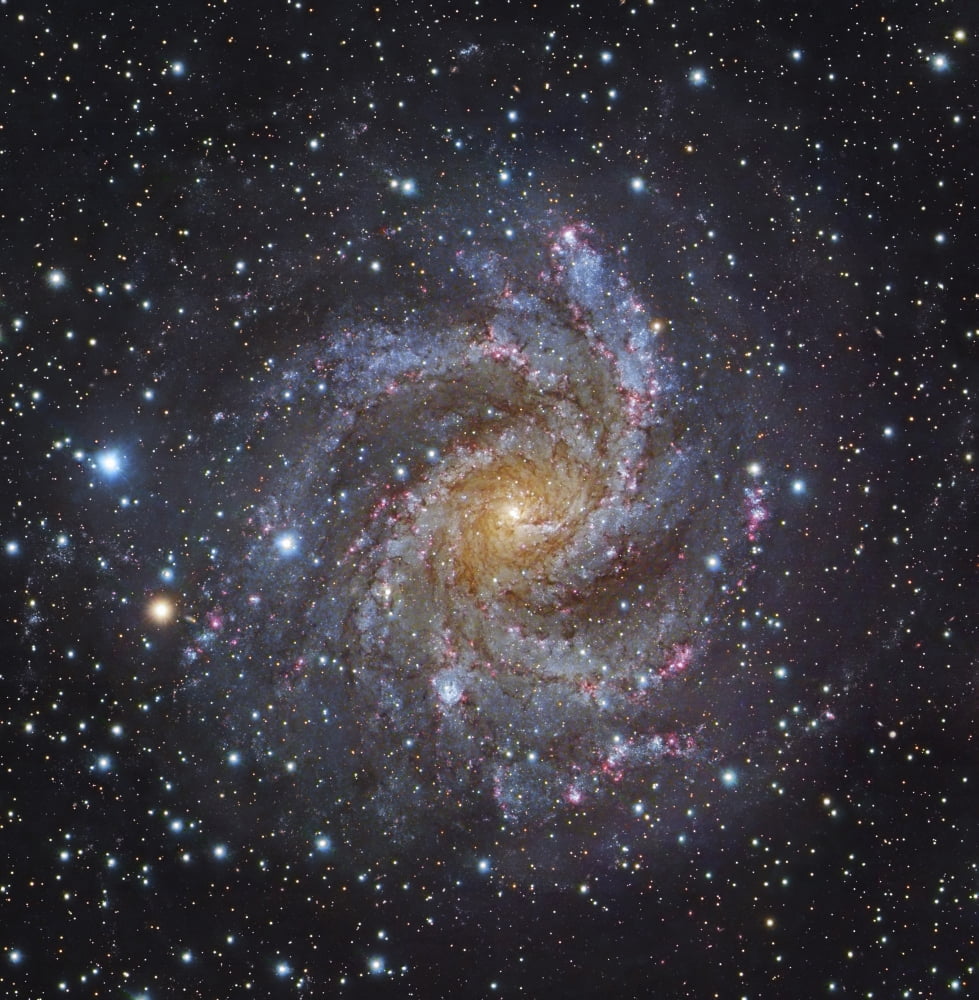 NGC 6946 a spiral galaxy in Cepheus Canvas Art - Robert GendlerStocktrek Images (28 x 29)