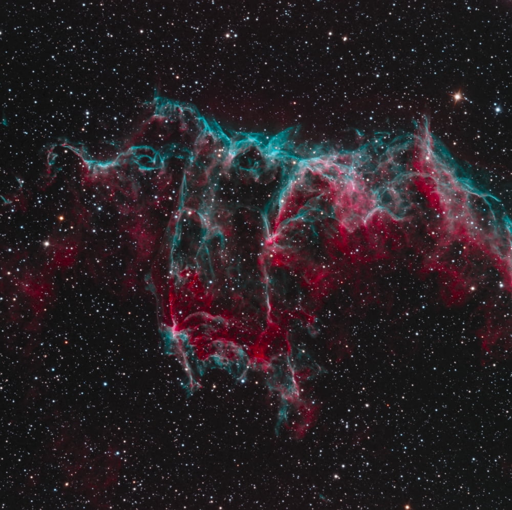 NGC 6995 the Bat Nebula Canvas Art - Bob FeraStocktrek Images (28 x 28)