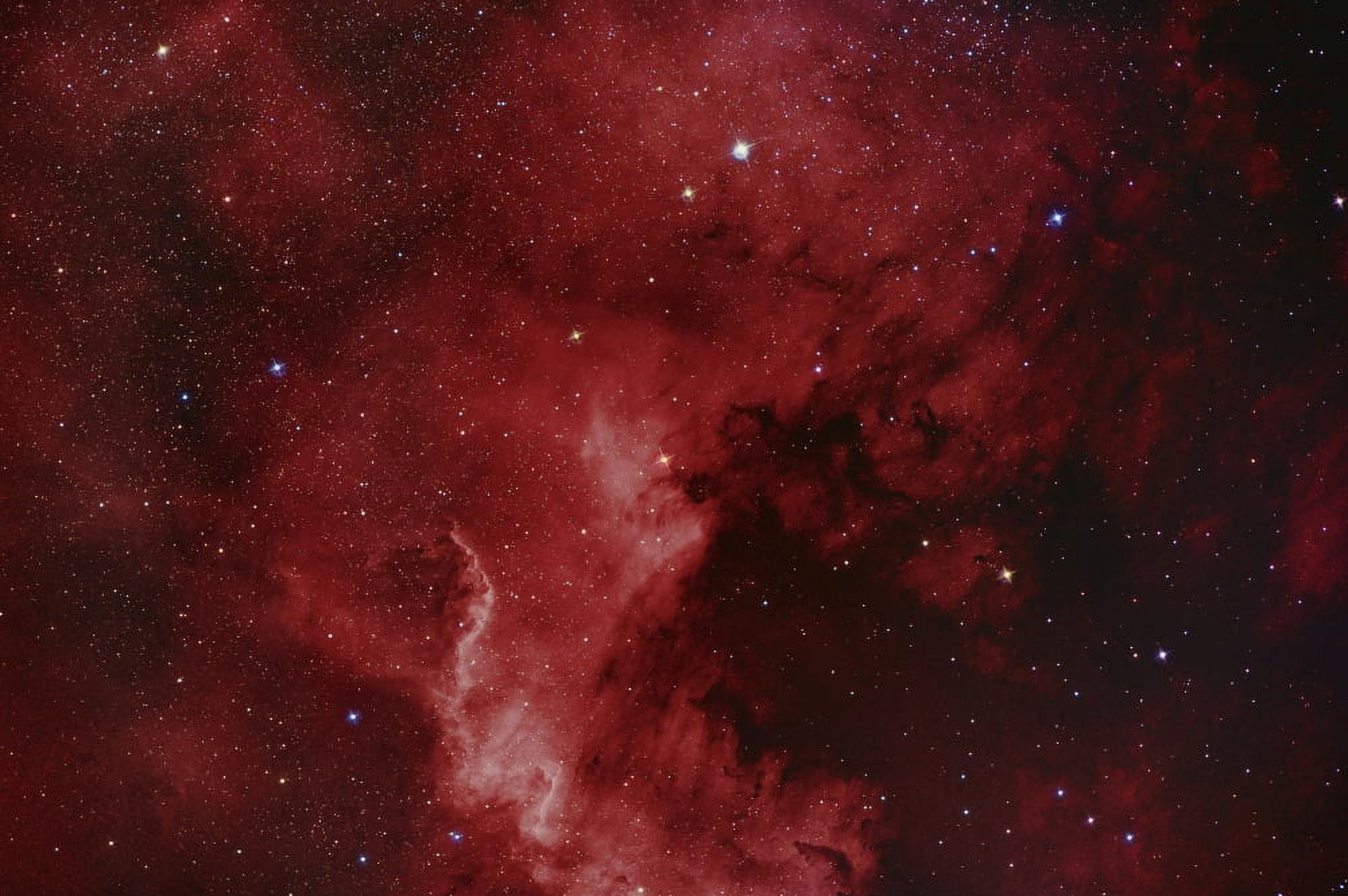 NGC 7000 The North America Nebula Canvas Art - Reinhold WittichStocktrek Images (35 x 23)