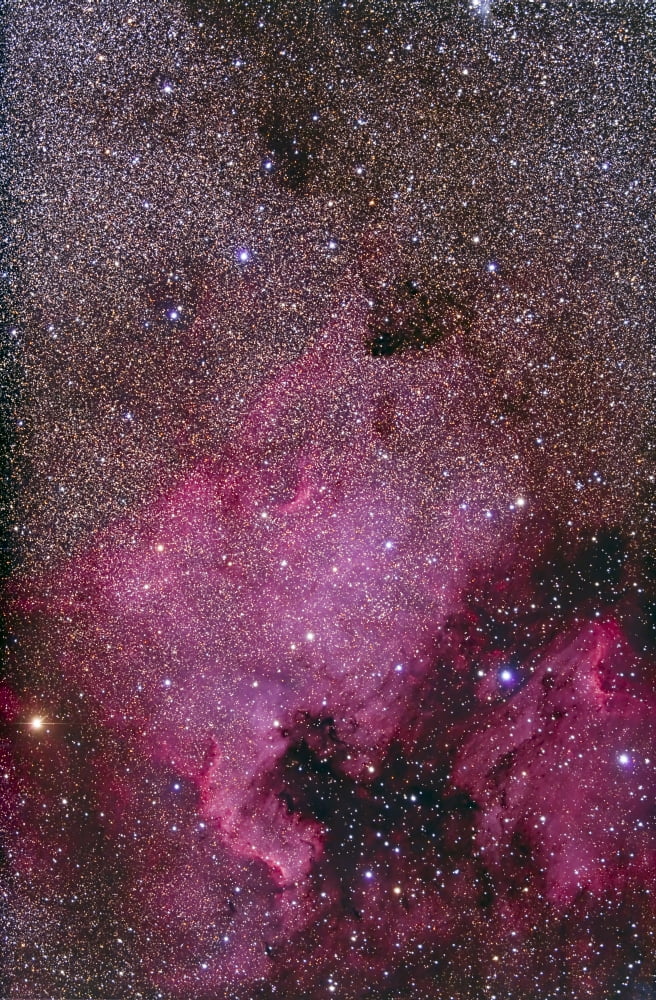 NGC 7000 and the Pelican Nebula Canvas Art - Alan DyerStocktrek Images (12 x 18)