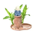 NGHnuifg Brazil Wood Hydroponic Tree Stump With 1Dolls & Tray Magical