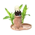 NGHnuifg Brazil Wood Hydroponic Tree Stump With 1Dolls & Tray Magical