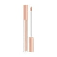 NGHnuifg Concealer With Antioxidants Lightweight Perfecting Concealer