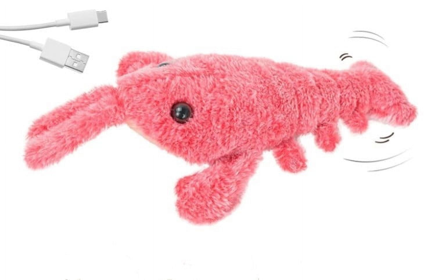 NGHnuifg Floppy Lobster Interactive Dog Toy 2024 New Dog Toys