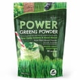 thumbnail interactive-video image 1 of Greens Powder Superfood Dietary Supplement for Immune Support 150 g by NextGenU, 1 of 9