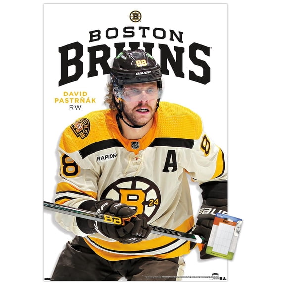 NHL Boston Bruins - David Pastrnák Feature Series 24 Wall Poster, 14.725" x 22.375"