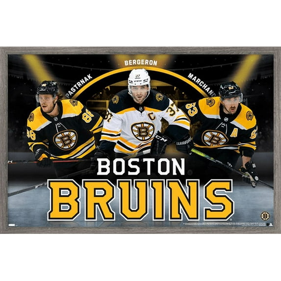 NHL Boston Bruins - Trio 21 Wall Poster, 14.725" x 22.375", Framed