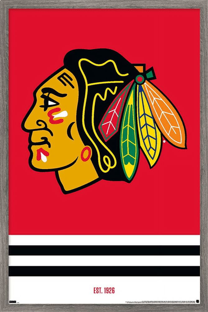 NHL Chicago Blackhawks - Logo 21 Wall Poster, 14.725" x 22.375", Framed