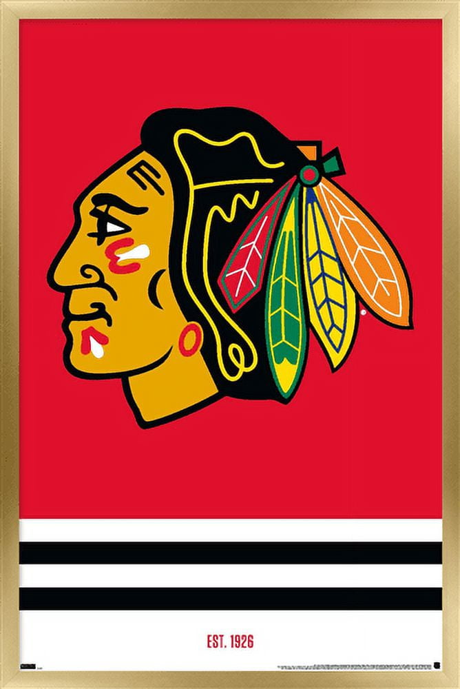 NHL Chicago Blackhawks - Logo 21 Wall Poster, 14.725" x 22.375", Framed
