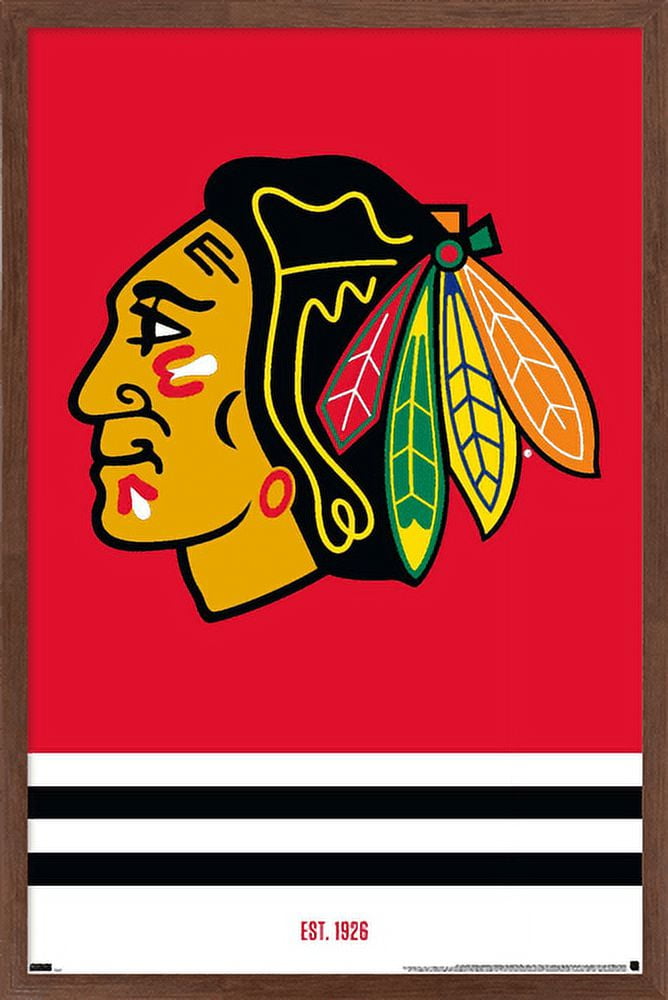 NHL Chicago Blackhawks - Logo 21 Wall Poster, 22.375" x 34", Framed
