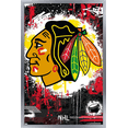 thumbnail image 1 of NHL Chicago Blackhawks - Maximalist Logo 23 Wall Poster, 22.375" x 34" Framed, 1 of 5