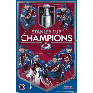 2018 Stanley Cup Champion (Blu-ray) for sale online