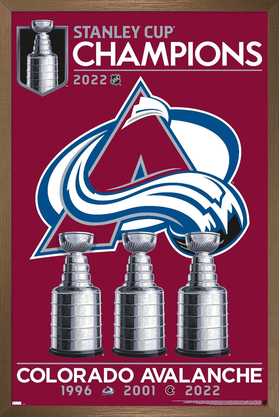 NHL Colorado Avalanche - 2022 Stanley Cup Team Logo Wall Poster, 14.725" x 22.375" Framed