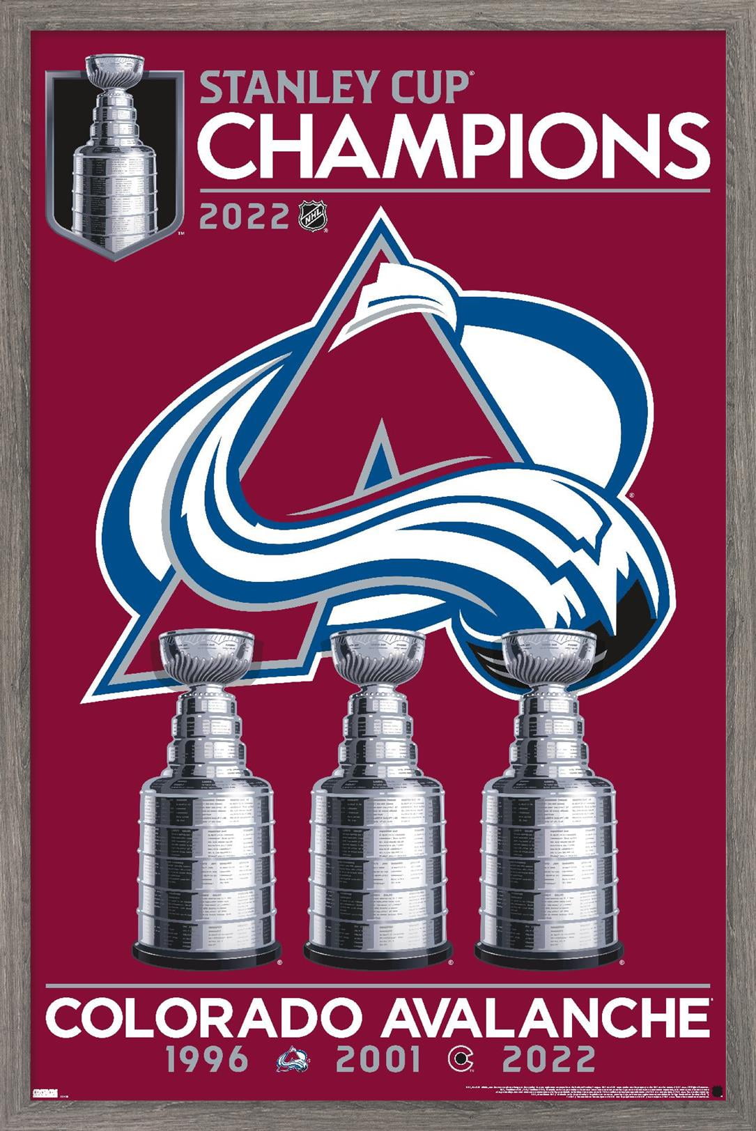 https://i5.walmartimages.com/seo/NHL-Colorado-Avalanche-2022-Stanley-Cup-Team-Logo-Wall-Poster-14-725-x-22-375-Framed_6968481d-1599-44ae-beb5-aa25433bdf07.18fc0e030bdffb3aaa8313f2fe7c33ba.jpeg