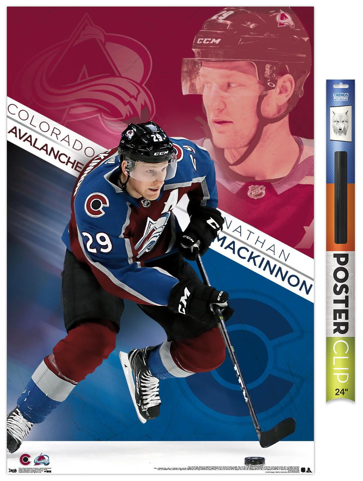 Colorado Avalanche Wall Decorations, Avalanche Street Signs