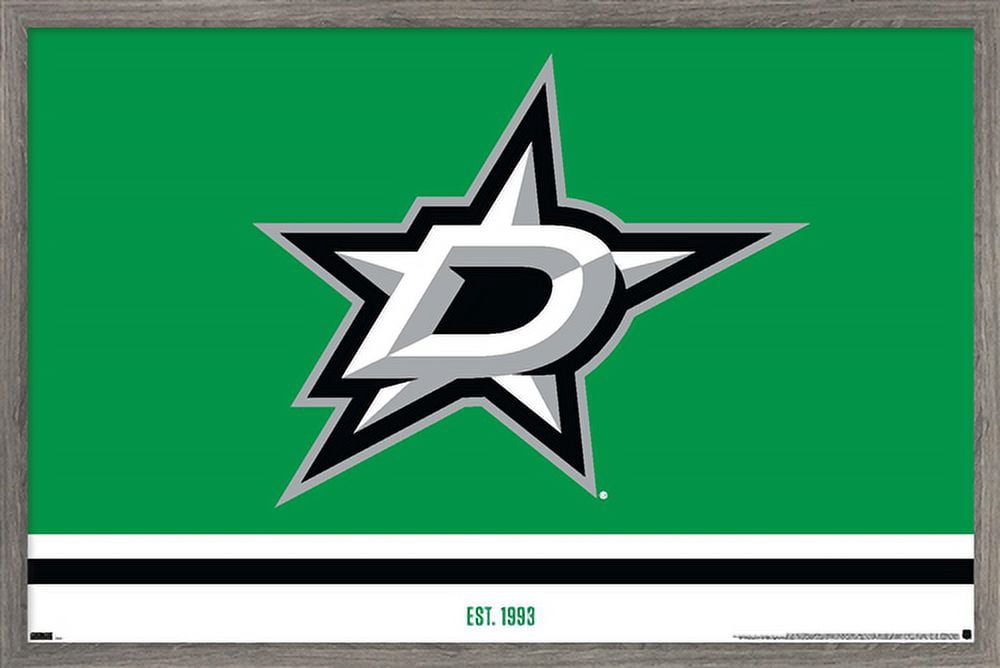 NHL Dallas Stars - Logo 21 Wall Poster, 22.375" x 34", Framed