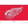 thumbnail image 1 of NHL Detroit Red Wings - Logo 21 Wall Poster, 22.375" x 34", 1 of 3