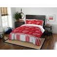 thumbnail image 1 of NHL Detroit Red Wings Queen Bed In Bag Set, 1 of 4