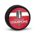 NHL Florida Panthers 2024 Stanley Cup Champion Hockey Puck - Walmart.com 