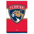 thumbnail image 1 of NHL Florida Panthers - Logo 21 Wall Poster, 22.375" x 34", Framed, 1 of 3