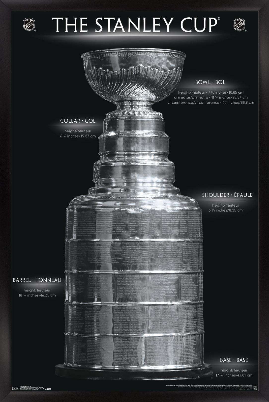 NHL League - Stanley Cup 16 Wall Poster, 14.725" x 22.375", Framed