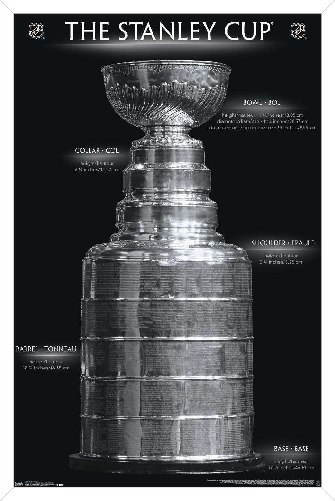 NHL League - Stanley Cup 16 Wall Poster, 14.725" x 22.375", Framed