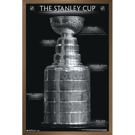 NHL League - Stanley Cup 16 Wall Poster, 22.375" x 34", Framed
