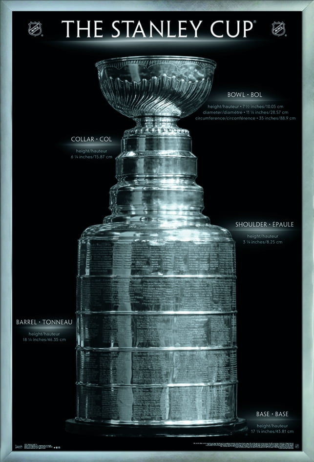 NHL League - Stanley Cup 16 Wall Poster, 22.375" x 34", Framed