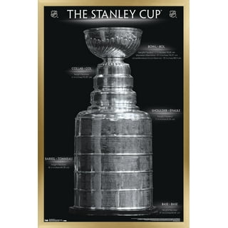 Detroit Red Wings Woodrow 8'' Replica NHL Stanley Cup