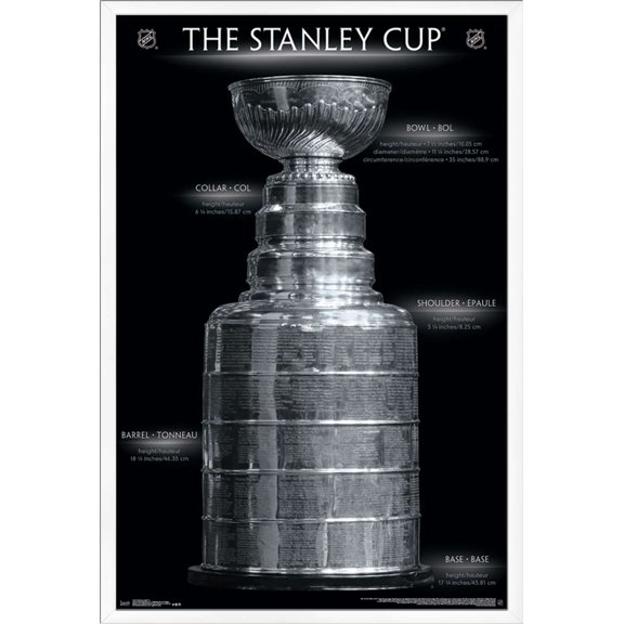 NHL League - Stanley Cup 16 Wall Poster, 22.375" x 34", Framed