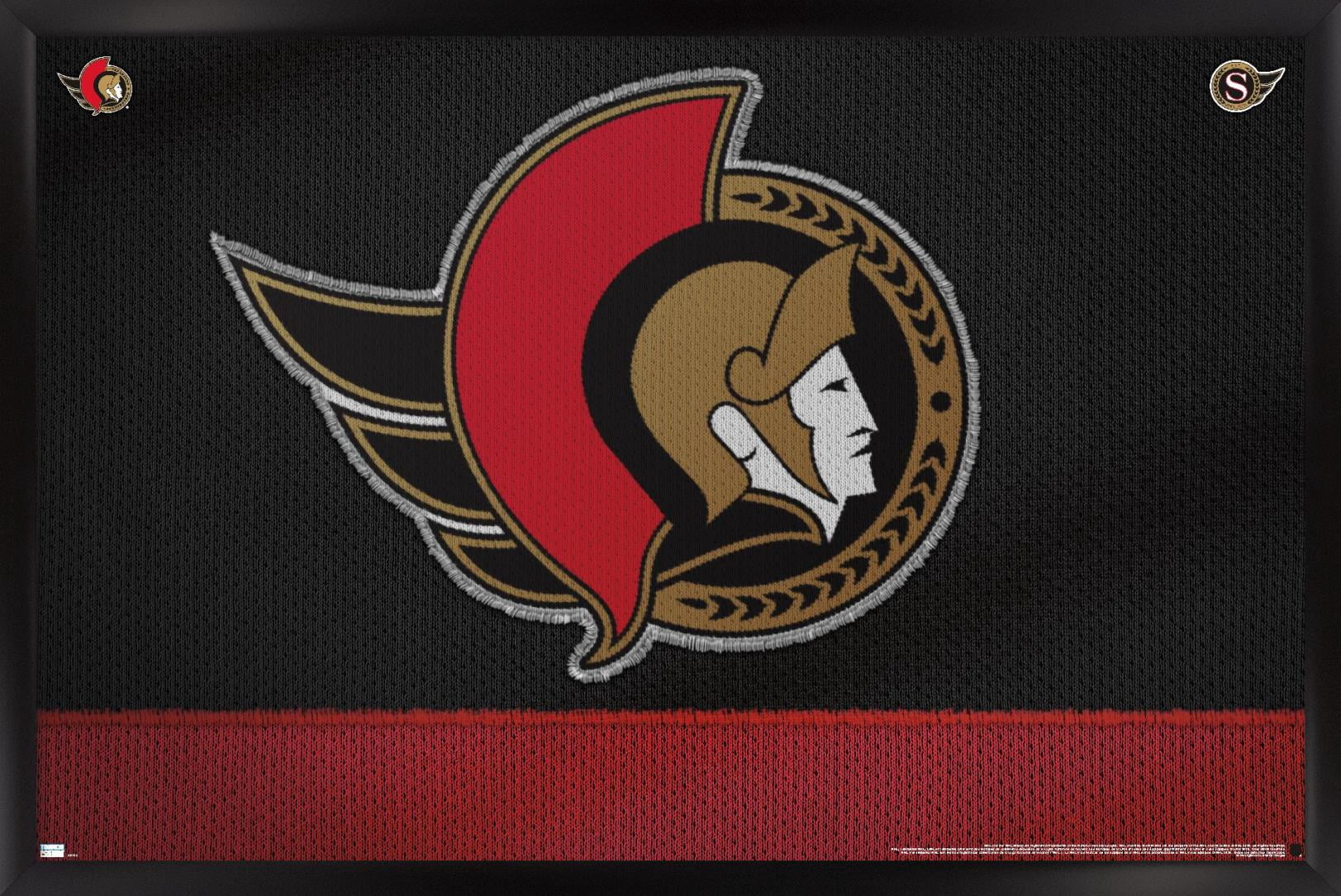 NHL Ottawa Senators - Logo 20 Wall Poster, 14.725" x 22.375", Framed