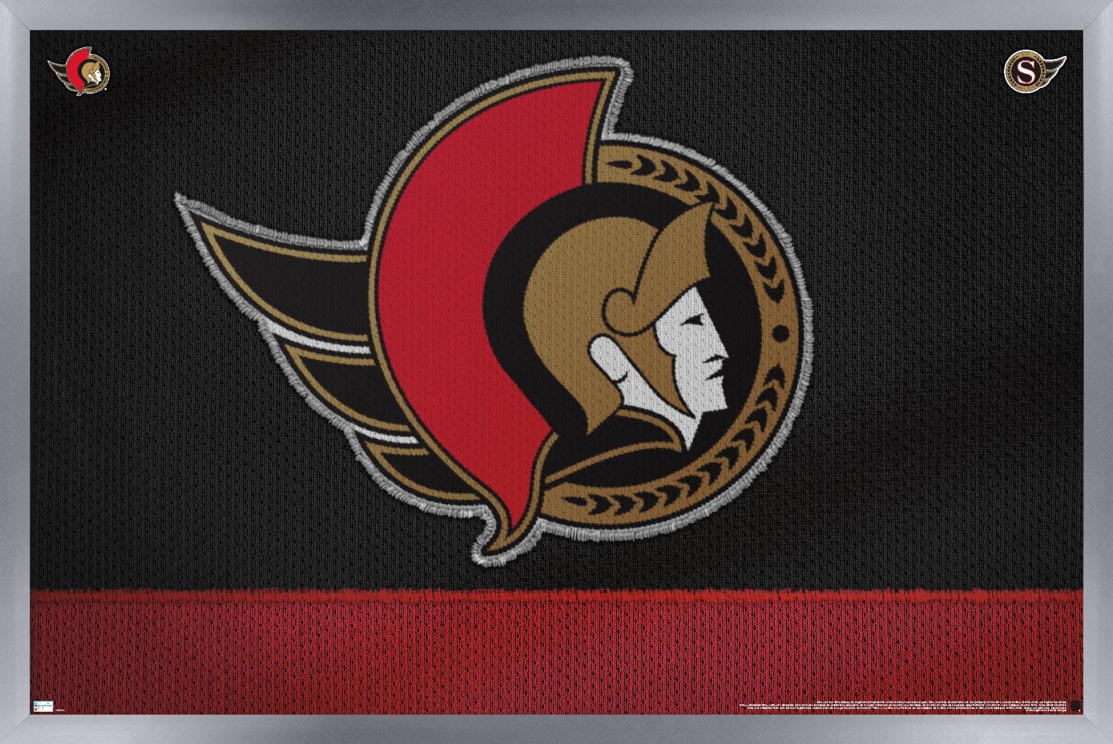 NHL Ottawa Senators - Logo 20 Wall Poster, 14.725" x 22.375", Framed