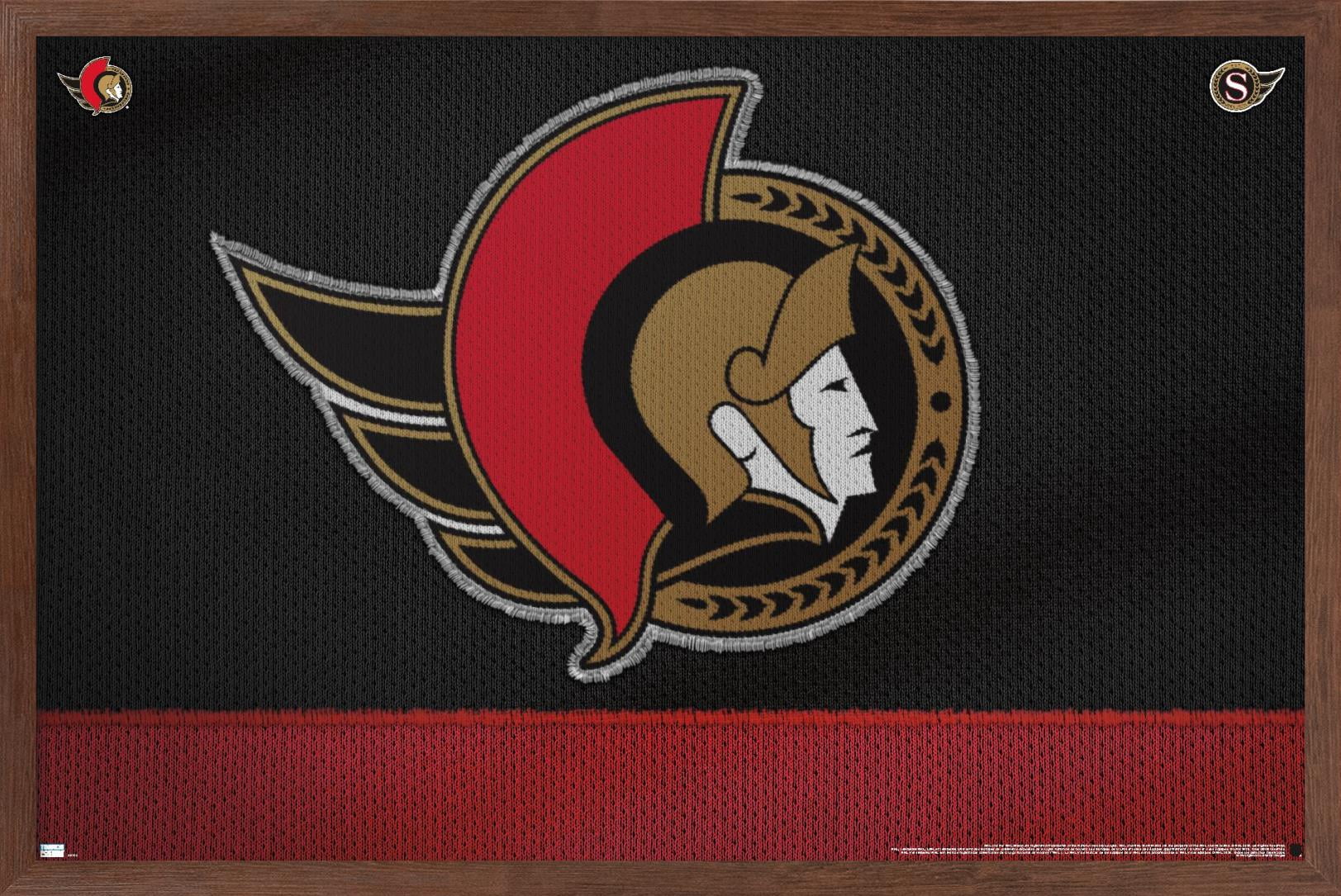NHL Ottawa Senators - Logo 20 Wall Poster, 14.725" x 22.375", Framed